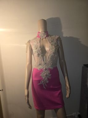 Fuchsia Embellished Mesh Sheath Dress